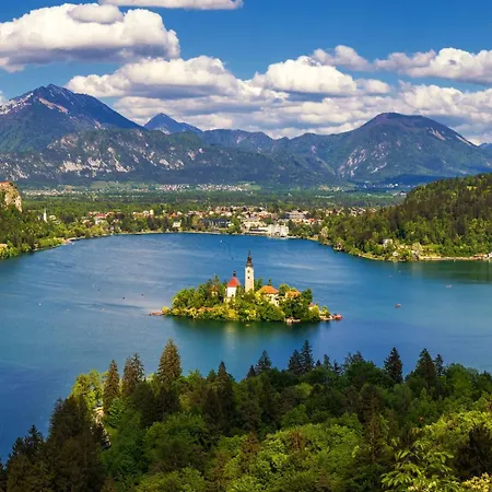 Eco River Camp - Pitches *