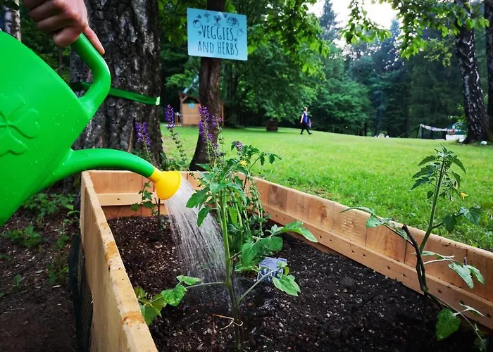 Eco River Camp - Pitches